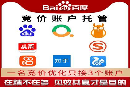 SEM托管案例分析：品牌如何快速崛起